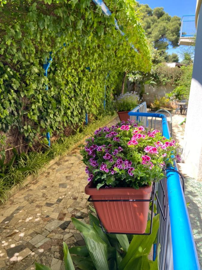 Villa Savoia Mondello Exteriör bild